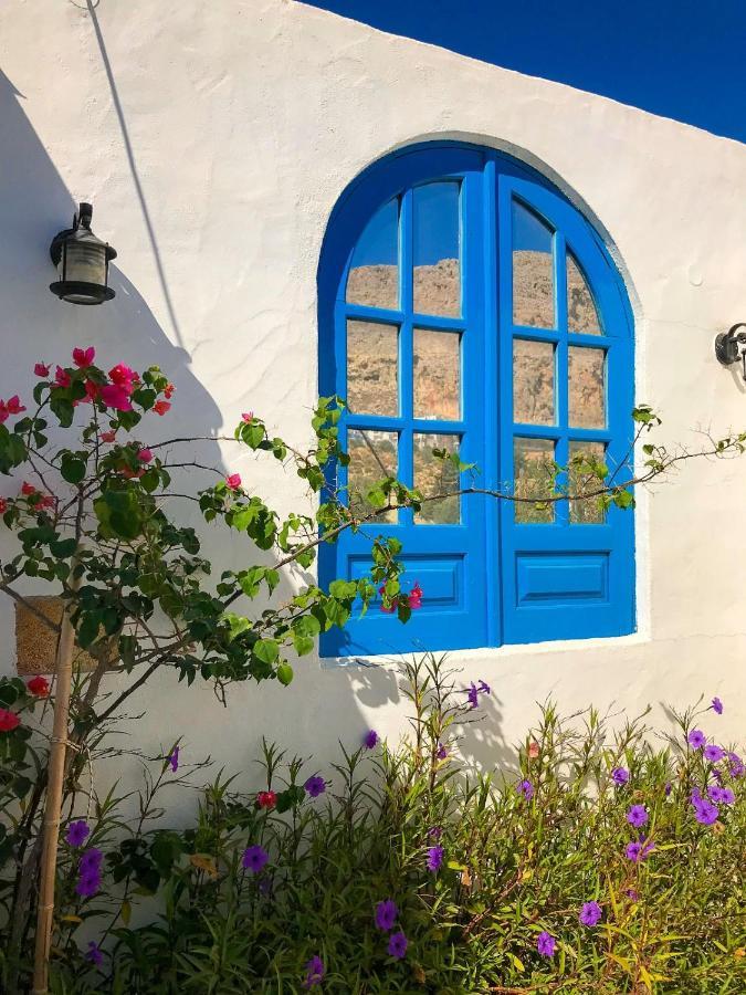 Pontoria Stegna Studios Archangelos  Dış mekan fotoğraf