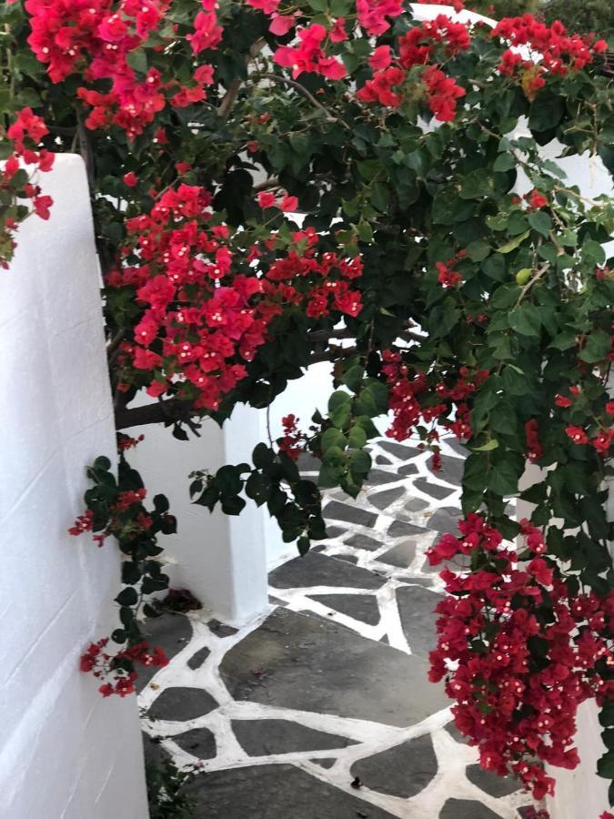 Pontoria Stegna Studios Archangelos  Dış mekan fotoğraf